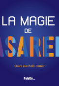 La magie de Vasarely-zucchelli-romer-livre jeunesse