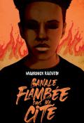 Banale flambée dans ma cité, Mabrouck Rachedi, livre jeunesse