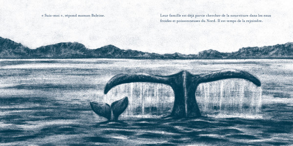Livre tissu à mâchouiller - Petite baleine