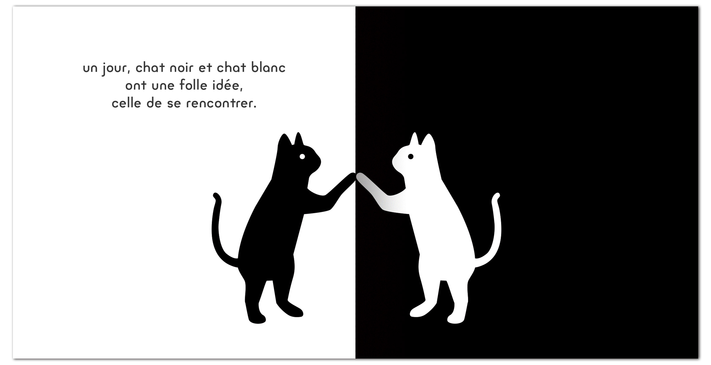 Chat Noir Chat Blanc