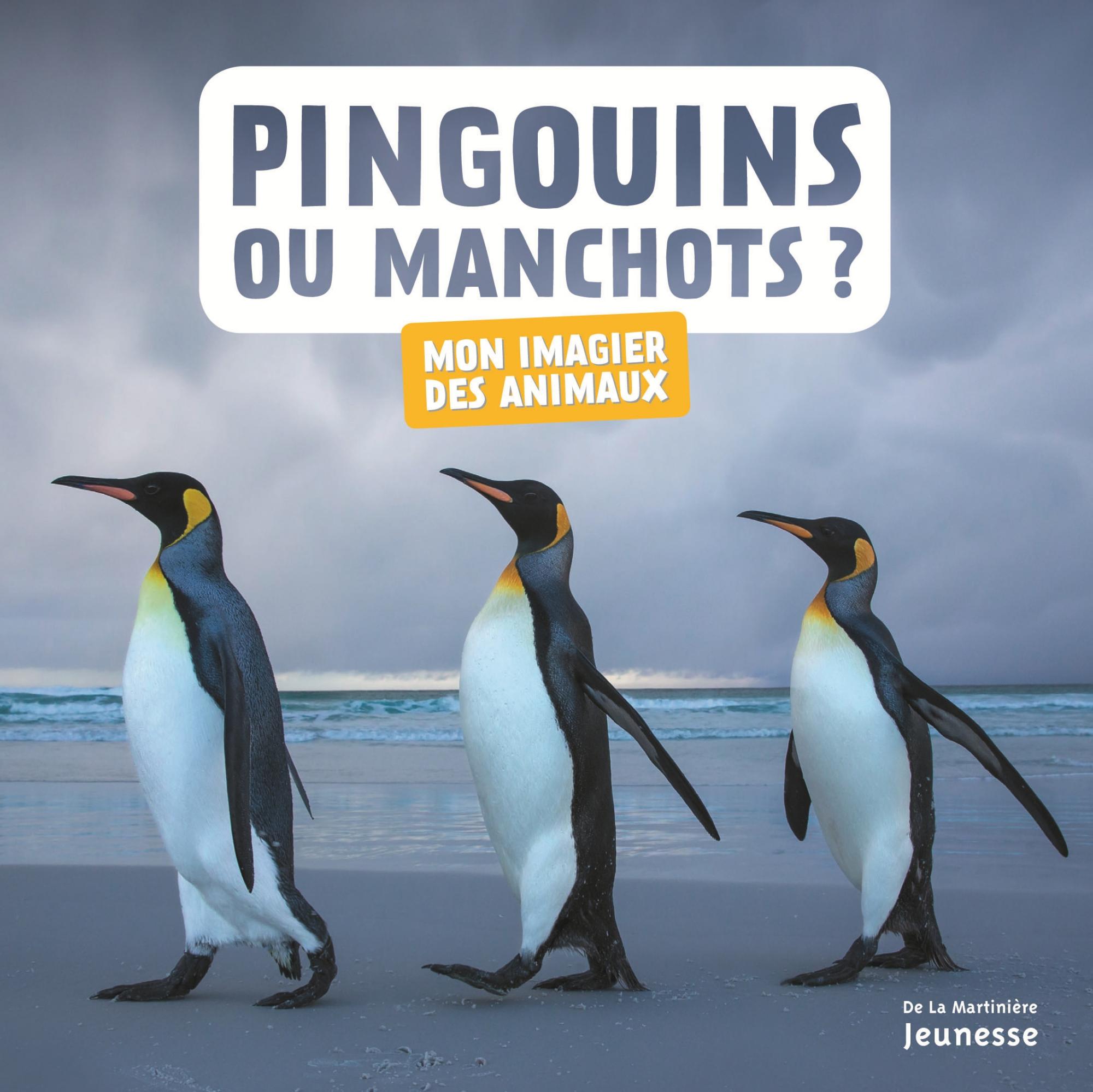 La Passe-Miroir Fan Art – Petit Pingouin Vert
