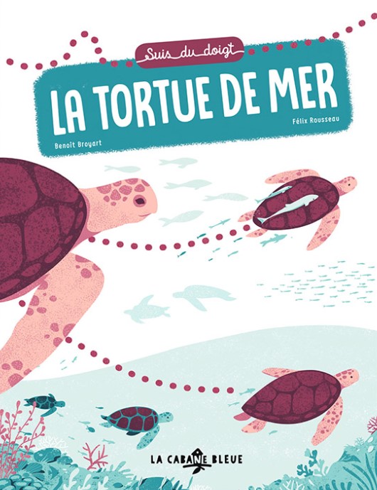 La naissance de bébés tortue racontée aux enfants