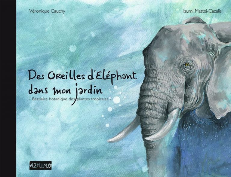 BÉBÉ VA AU MARCHÉ  Les éditions des éléphants