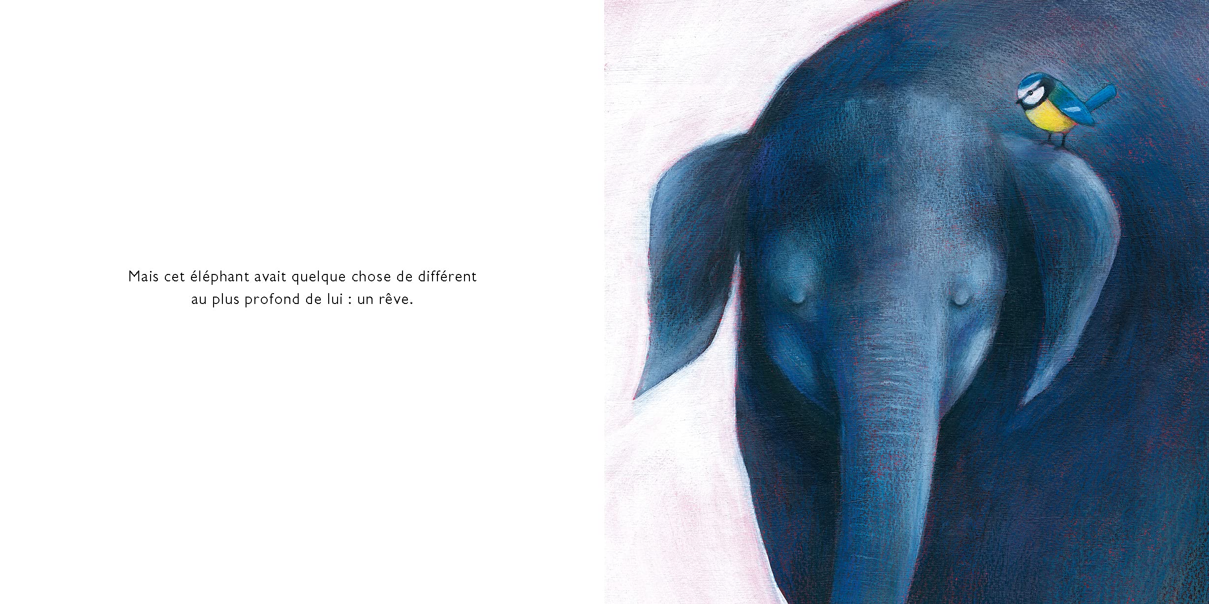 P'tit Elephant 2 - Tableau dessin à l'aquarelle d'un bébé éléphant.