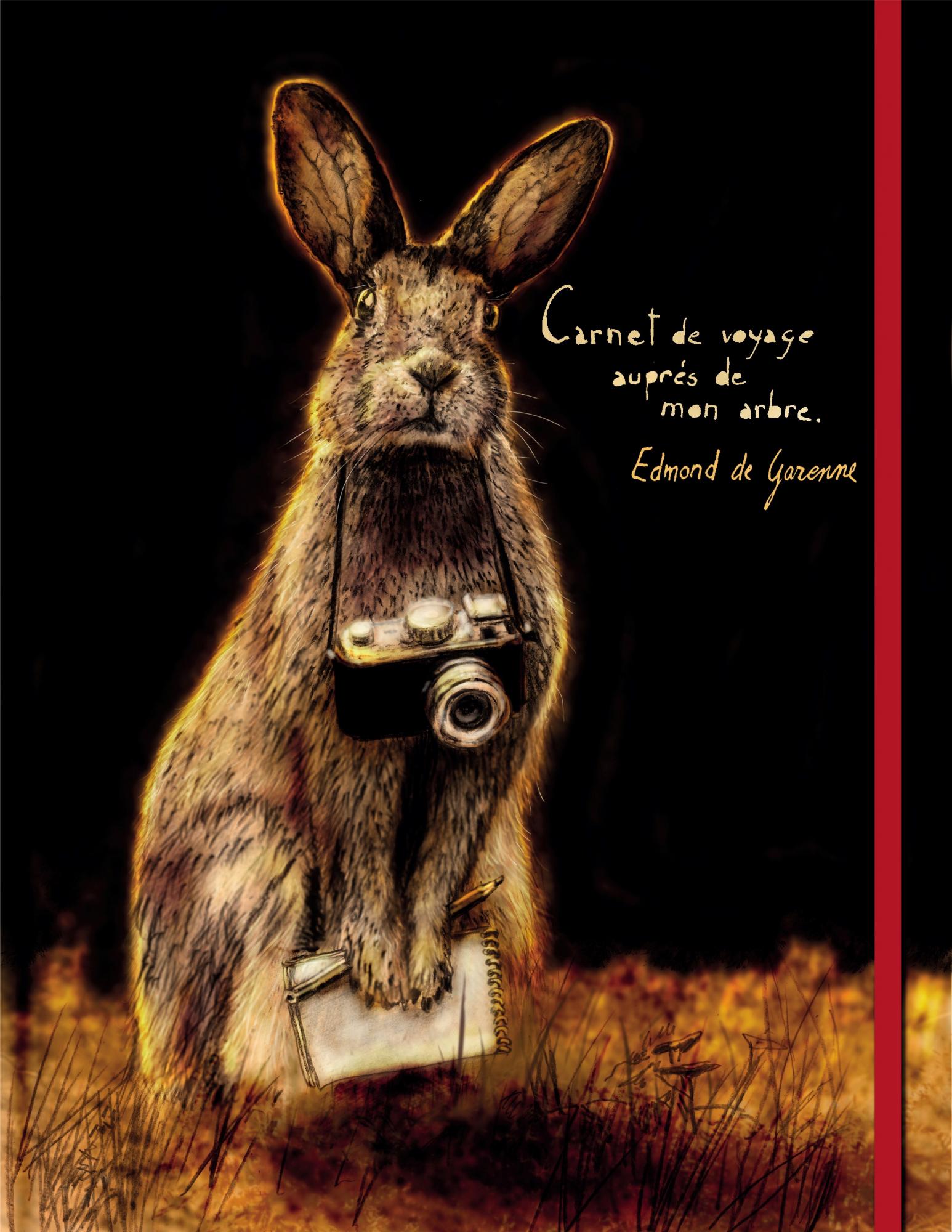 Carnets et cahiers - Le lapin d'argile