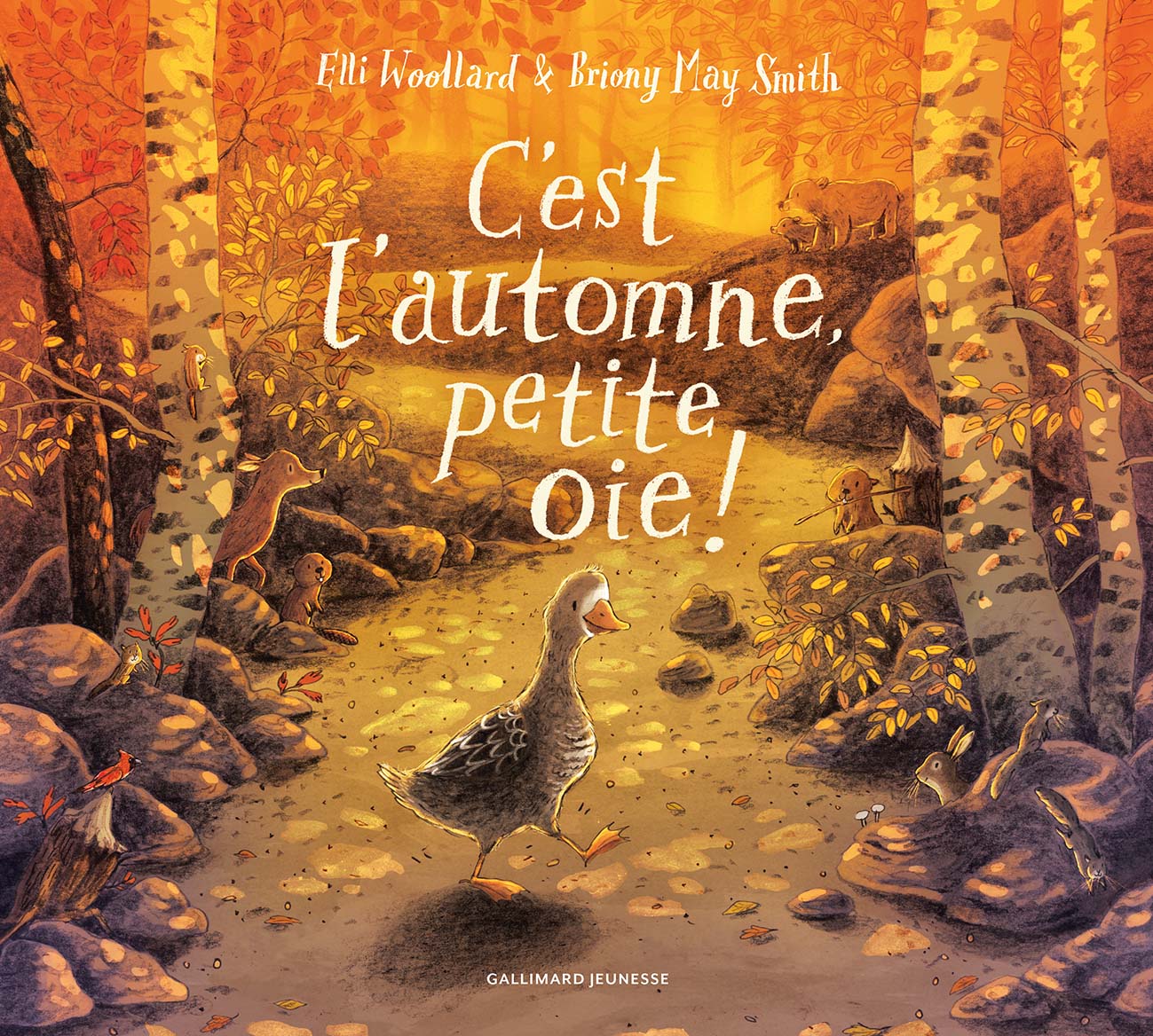 Carte Etape Bébé Oie d'Automne, Kit Première année - Lot de 12