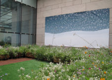 Photo de l'exposition