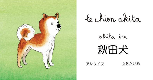 Imagier japonais Chien Akita