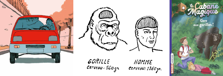Gorilles_4