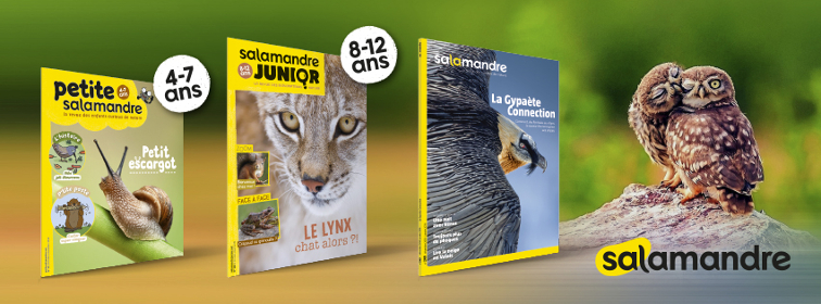 Les trois revues de La Salamandre 1