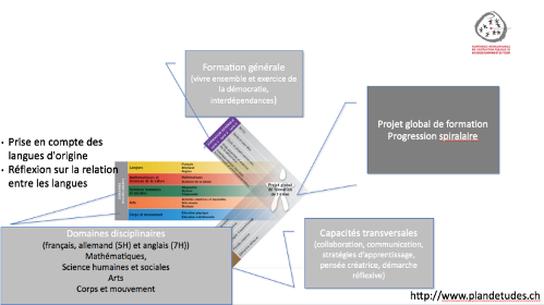 Schéma du plan d'étude romand