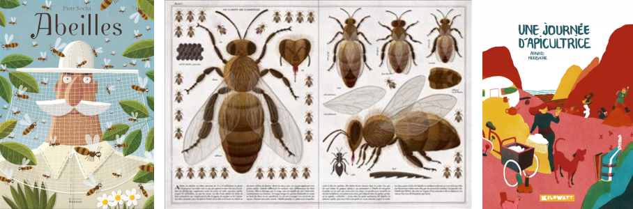 insectes