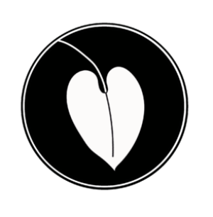 Logo feuilles songe