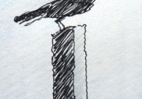 main article image