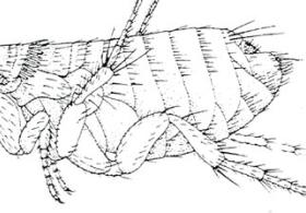 main article image