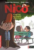 nico : c'est nul, un chagrin d'amour !