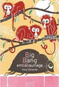 big bang embabouinage