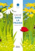 Caché dans la prairie