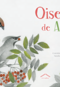 Oiseaux de A à Z - Circonflexe - littérature jeunesse