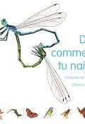 Dis, comment tu nais ?-guibert-pollet-livre jeunesse