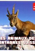 Les animaux des montagnes suisses-népoux-livre jeunesse