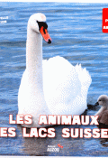 Les animaux des lacs suisses-Jobé-Collectif-Livre jeunesse