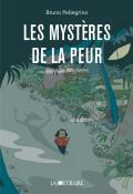 Les mystères de la peur-Pellegrino-Farnos-Livre jeunesse