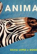 Animains - Silvia Lopez - Guido Daniele - Livre jeunesse