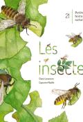Les insectes-Lecoeuvre-mazille-livre jeunesse