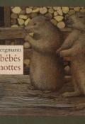 Mes bébés marmottes - Peter Bergmann - Livre jeunesse