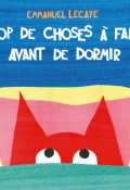 Trop de choses à faire avant de dormir, Emmanuel Lecaye, livre jeunesse