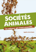 Sociétés animales, Agatha Liévin-Bazin, livre jeunesse