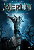 Merlin (T.1). Les années oubliées - Barron - Livre jeunesse
