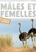 Mâles et femelles : mon imagier des animaux-Livre jeunesse-Imagier jeunesse