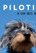 Piloti a un œil bleu, Julien Baer, livre jeunesse