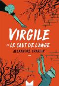 Virgile ou le saute de l'ange, Alexandre Chardin, livre jeunesse