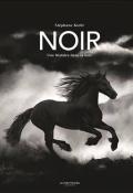 Noir : une histoire dans la nuit, Stéphane Kiehl, livre jeunesse