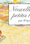 Nouvelles toutes petites histoires, Miguel Tanco, livre jeunesse