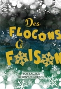 Des flocons à foison, Bob Raczka, Bryony Clarkson, Livre jeunesse