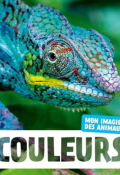 Couleurs, Naturagency, Livre jeunesse