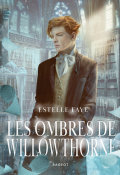 Les ombres de Willowthorne, Estelle Faye, Livre jeunesse