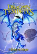 Dragon des tempêtes, Julie Kagawa, Livre jeunesse