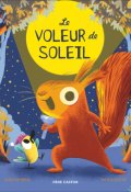 Le voleur de soleil-Alice Hemming-Nicola Slater-Livre jeunesse