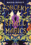 Sorcery and small magics (T.1) - Maiga Doocy - Livre jeunesse