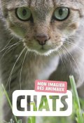 Chats - Naturagency - Livre jeunesse