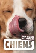 Chiens - Naturagency - Livre jeunesse